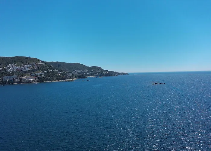 In Near Canyelles Ρόζες